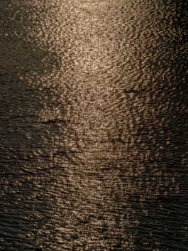 Linda Deutsch I photographer