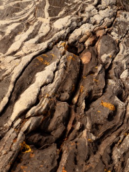 Linda Deutsch I photographer