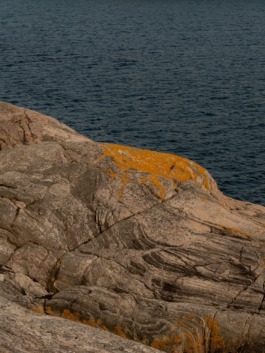 Linda Deutsch I photographer