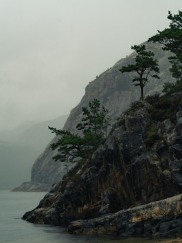 Linda Deutsch I photographer