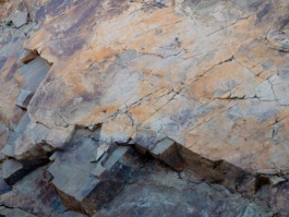 Linda Deutsch I photographer