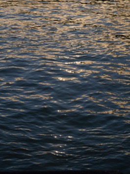 Linda Deutsch I photographer