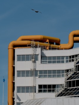 Linda Deutsch I photographer