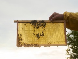 Linda Deutsch I photographer