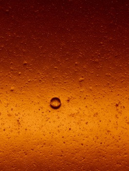 Linda Deutsch I photographer