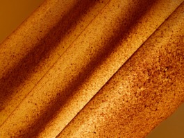 Linda Deutsch I photographer