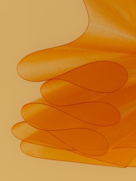  Linda Deutsch I photographer