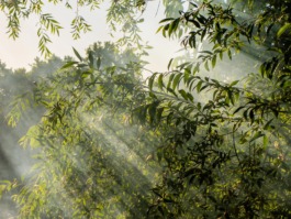 Linda Deutsch I photographer