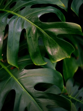 Linda Deutsch I photographer