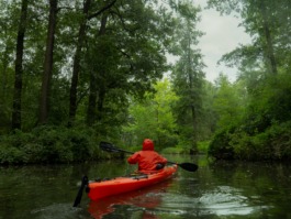 Linda Deutsch I photographer