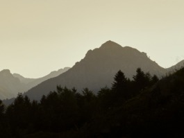 Linda Deutsch I photographer