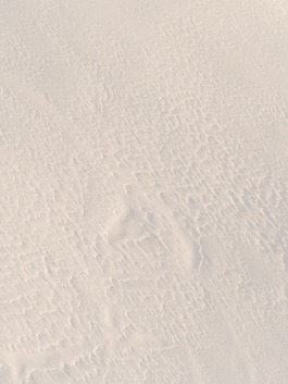 Linda Deutsch I photographer