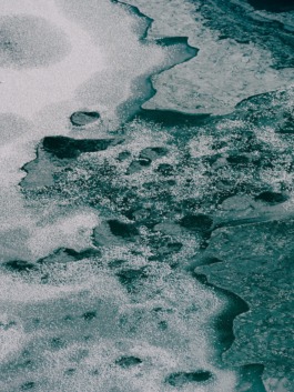 Linda Deutsch I photographer