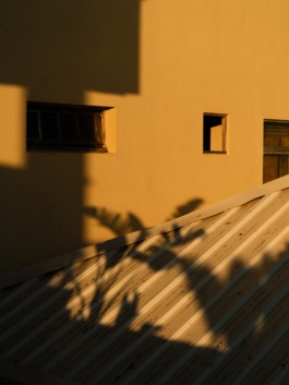 Linda Deutsch I photographer