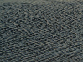 Linda Deutsch I photographer