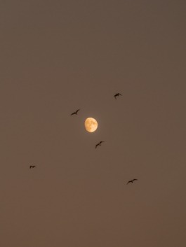 Linda Deutsch I photographer