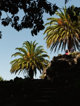 Linda Deutsch I photographer