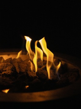 Linda Deutsch I photographer