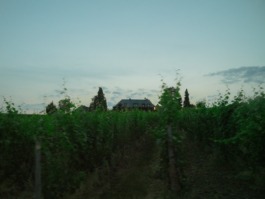 Linda Deutsch I photographer