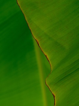 Linda Deutsch I photographer
