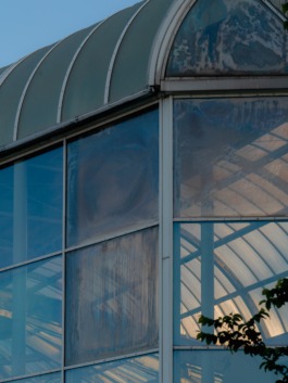 Linda Deutsch I photographer