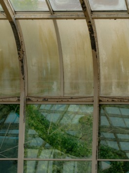 Linda Deutsch I photographer