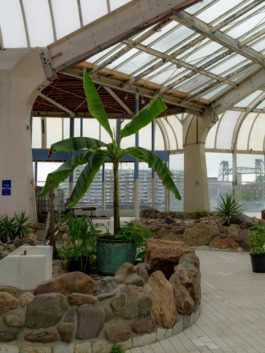 Linda Deutsch I photographer