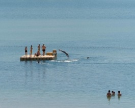 Linda Deutsch I photographer