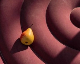 Linda Deutsch I photographer