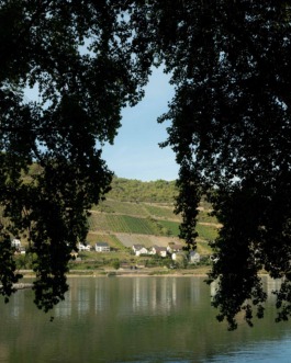 Linda Deutsch I photographer