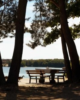 Linda Deutsch I photographer