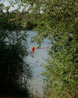 Linda Deutsch I photographer