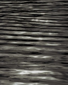 Linda Deutsch I photographer