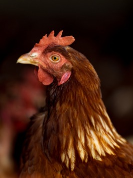 Linda Deutsch I photographer