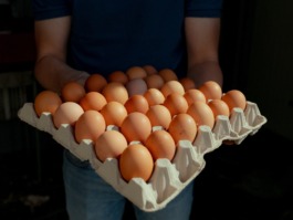 Linda Deutsch I photographer