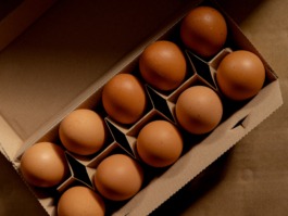 Linda Deutsch I photographer