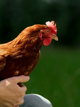 Linda Deutsch I photographer