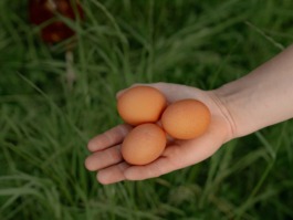  Linda Deutsch I photographer