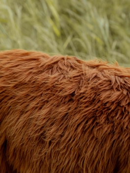 Linda Deutsch I photographer