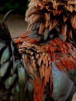 Linda Deutsch I photographer