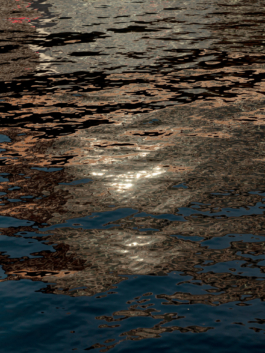 Linda Deutsch I photographer