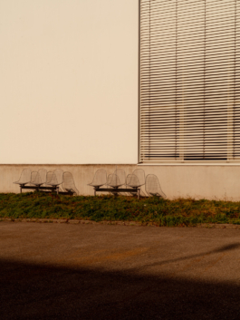 Linda Deutsch I photographer