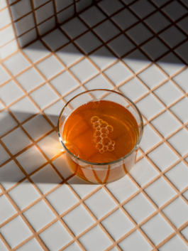 Linda Deutsch I photographer