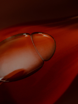 Linda Deutsch I photographer